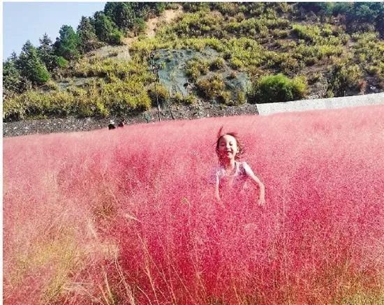 从一数到一百万,从一数到万亿