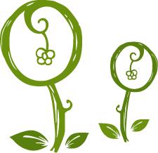 每日一方清热祛湿汤,每日一膳健脾祛湿汤