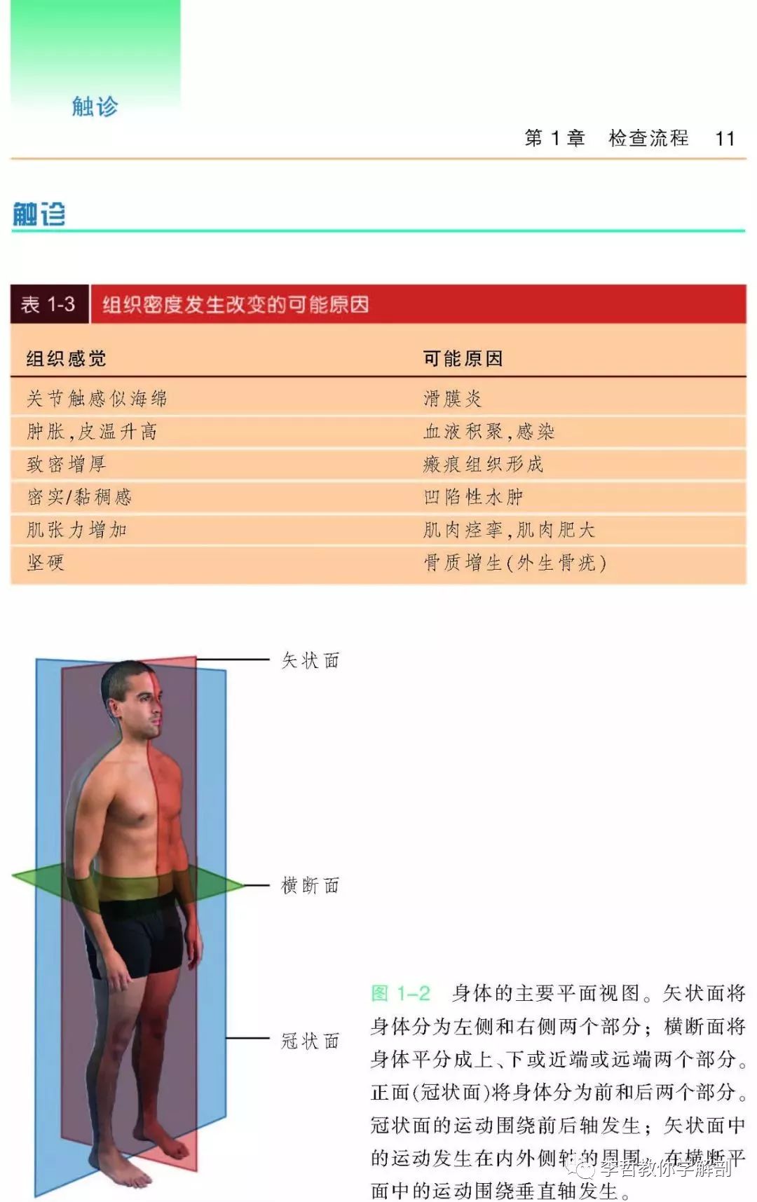 好书推荐|《骨科与运动损伤检查手册》一本康复医生必须标配的书籍