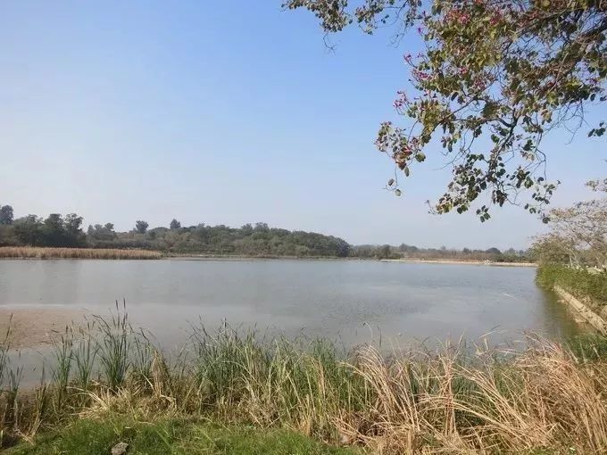 金门福利,金门二日游报团