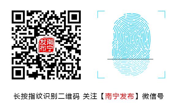 2019南宁中国杯赛程,中国杯南宁2018直播回放