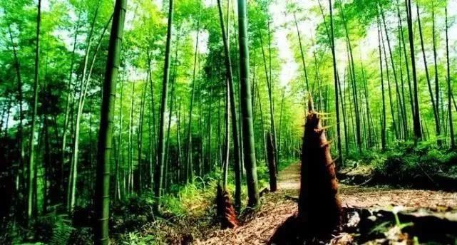 上海到湖州城际铁路,上海到湖州高铁通车吗