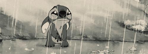 官宣的新消息,官宣时间确定了吗