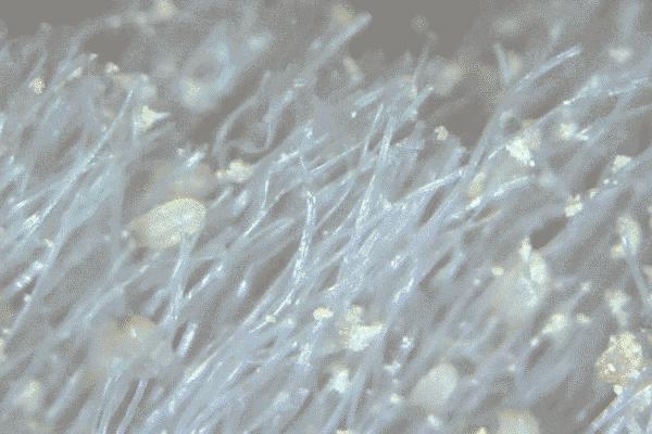 好用的去螨虫喷雾推荐,除螨喷雾排行第一名神器