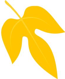 致同学们的一封信四年级,致同学们的一封信柳河县