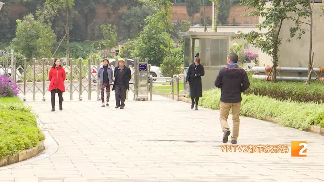 凤凰雅苑最新信息,违规楼盘