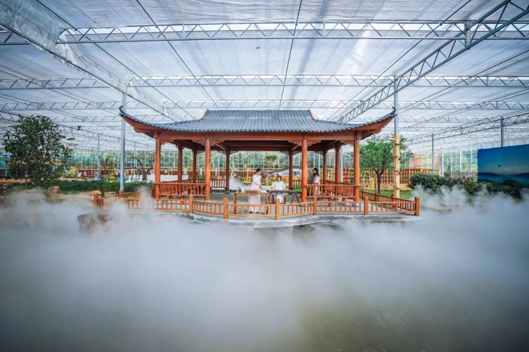 临沂田园综合体,临沂沂南田园综合体名单