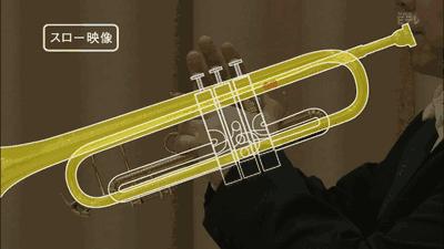 这些图一直看一直爽！原来平凡生活中藏着这么多奇迹……