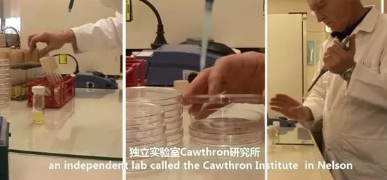 香港脚气最好的治疗方法,香港脚怎么彻底治愈