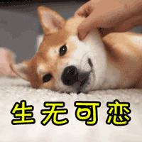 网上购买火车票用不用换纸质车票 (火车网上退票要11天需要手续费吗)