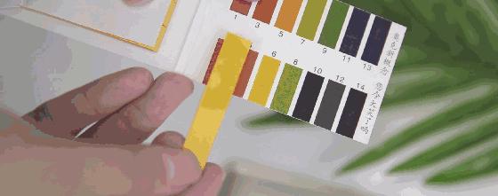 儿童去痱子水推荐,一瓶水止痒