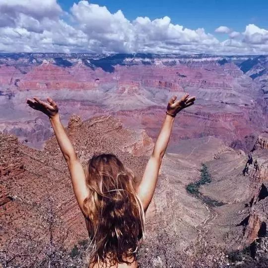 选一棵树看看你什么性格,选一棵树看性格