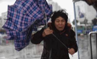 能抗8级大风和车压的暴风伞测评,硬汉级暴雨伞