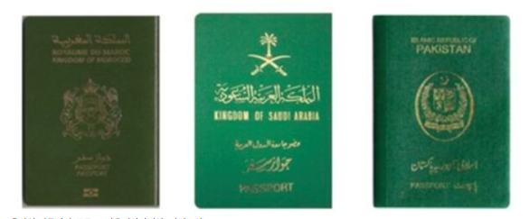 各国护照颜色,世界各国护照的种类