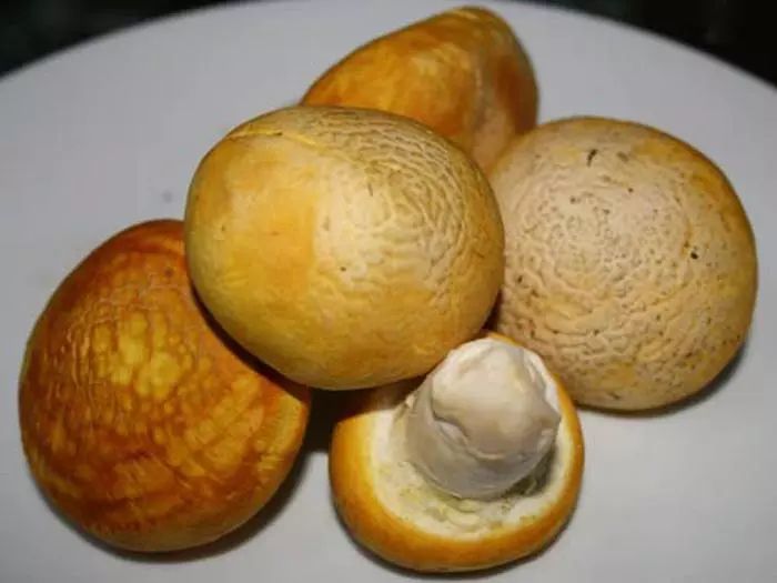 消费扶贫奶制品,消费扶贫奶粉