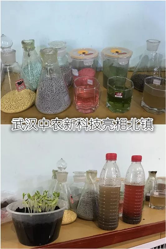 谁帮北镇葡萄打了一场翻身仗？听武汉中农经销商如是说