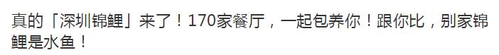 中国锦鲤为什么火了,锦鲤为什么火了