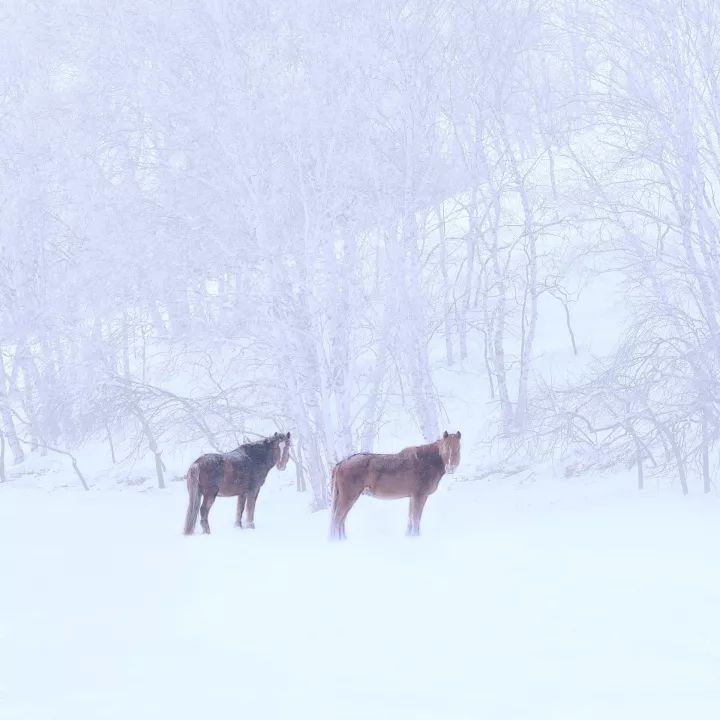 2018最后一天旅行攻略,2018最后一个月旅行清单