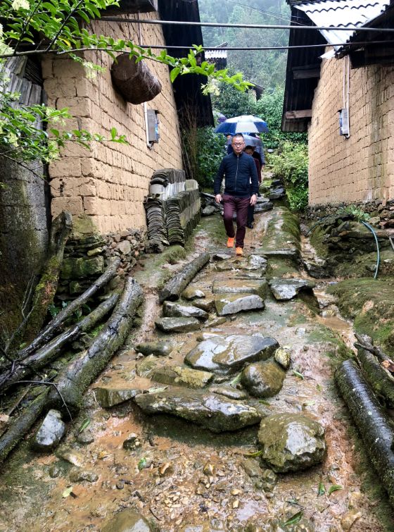 云南德宏最美茶园,芒市田园风景