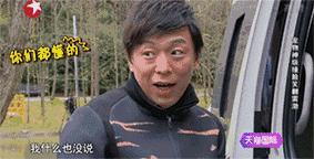 养牛头梗的注意事项,五个月的牛头梗好养吗