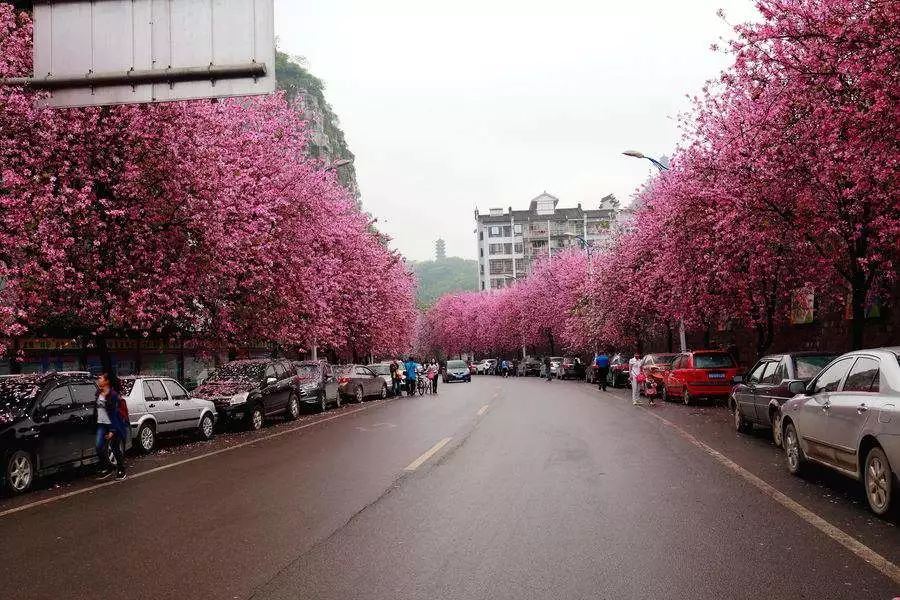 现在柳州的经济有多难,柳州经济靠什么