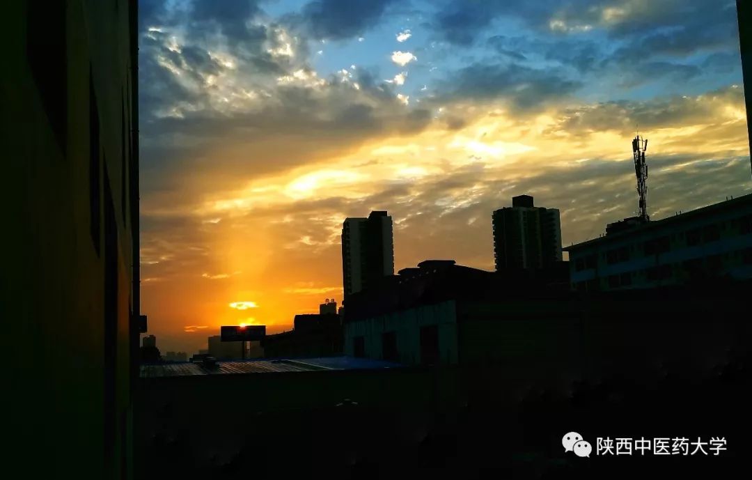 陕中大最火的这几款色号，你种草了么？