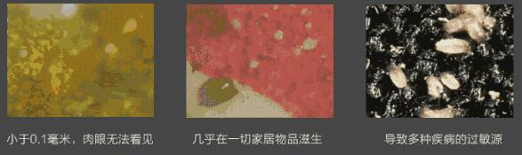 鼻尖挤出白色的是什么,鼻子上挤出的白丝怎么解决