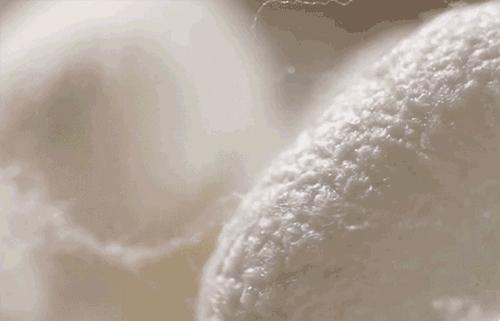 妇科疾病与内裤有关吗,女性经常有妇科病穿牛仔裤好吗