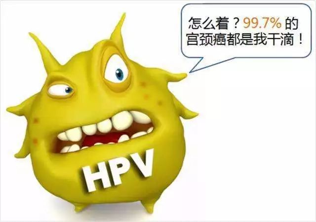 hpv疫苗科普二价和四价,hpv疫苗科普解答动画