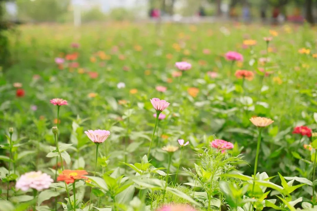 带你看美丽的厦门海边美景,厦门海洋最美丽的风景