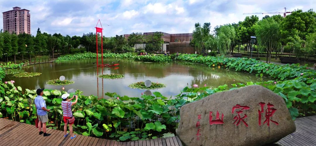 医疗卫生设施规划建设,医疗卫生文化建设内容