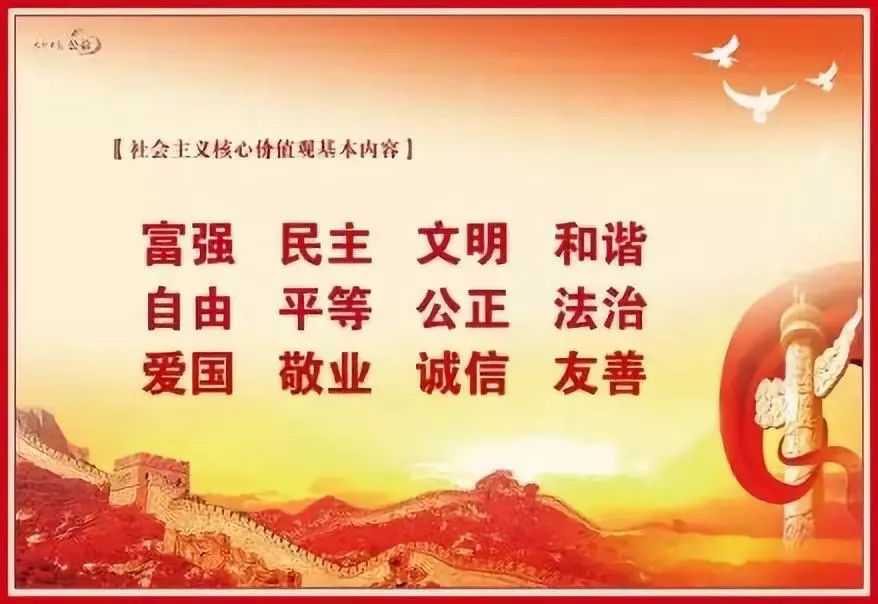 阳城县惊现白鹭,河南惊现白鹭