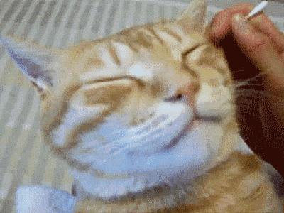 耳朵如何掏最舒服,耳朵正确掏法图解