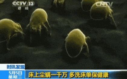 轻松两招带你揭开蚕丝被的真面目,蚕丝被最近新闻