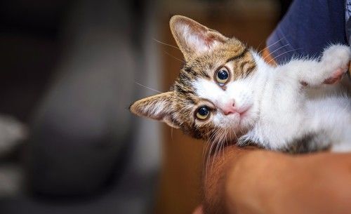 这5种癌症非常隐蔽,这5种疾病看着很奇怪