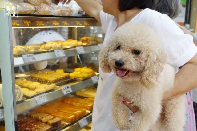 张敬轩住过的这条老街，随便几家美食店，加起来超过150岁！