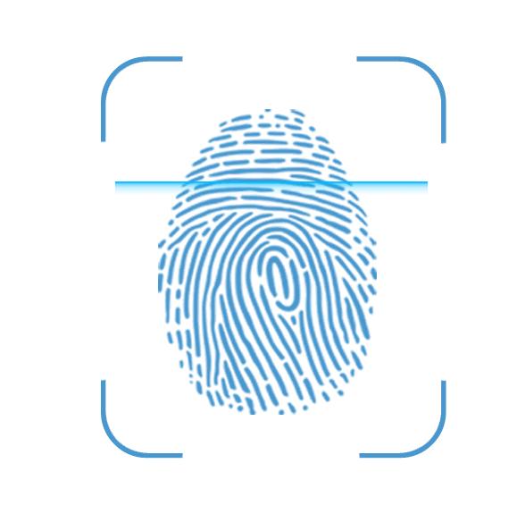 2025年重庆秀山足球赛最新消息,重庆市秀山县足球比赛