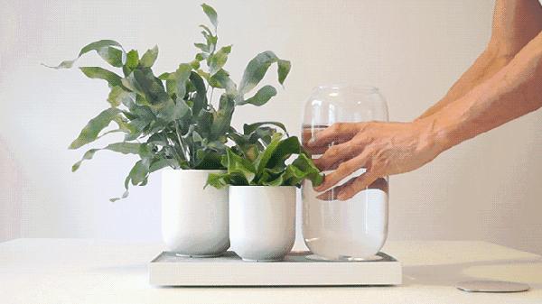 雾霾天能出去锻炼吗,雾霾天为啥老咳嗽