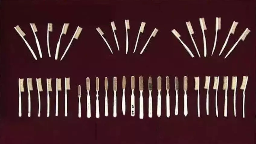 日本必买的牙刷 (双十一必买的牙刷)