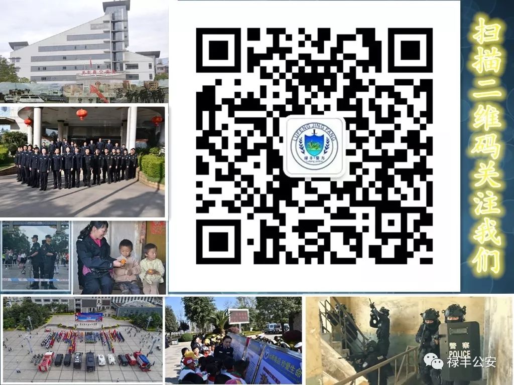 网络贷款诈骗案例大全最新,网络贷款诈骗的典型案例