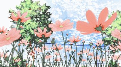 宿州野菜,挖野菜的视频火了