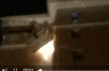 清溪找马蜂,东莞清溪马蜂