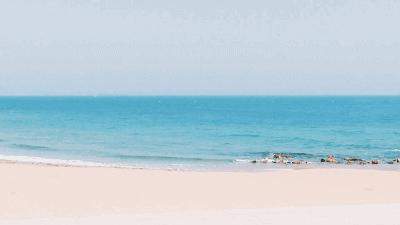 向海而生渐行渐远,向海而生原版