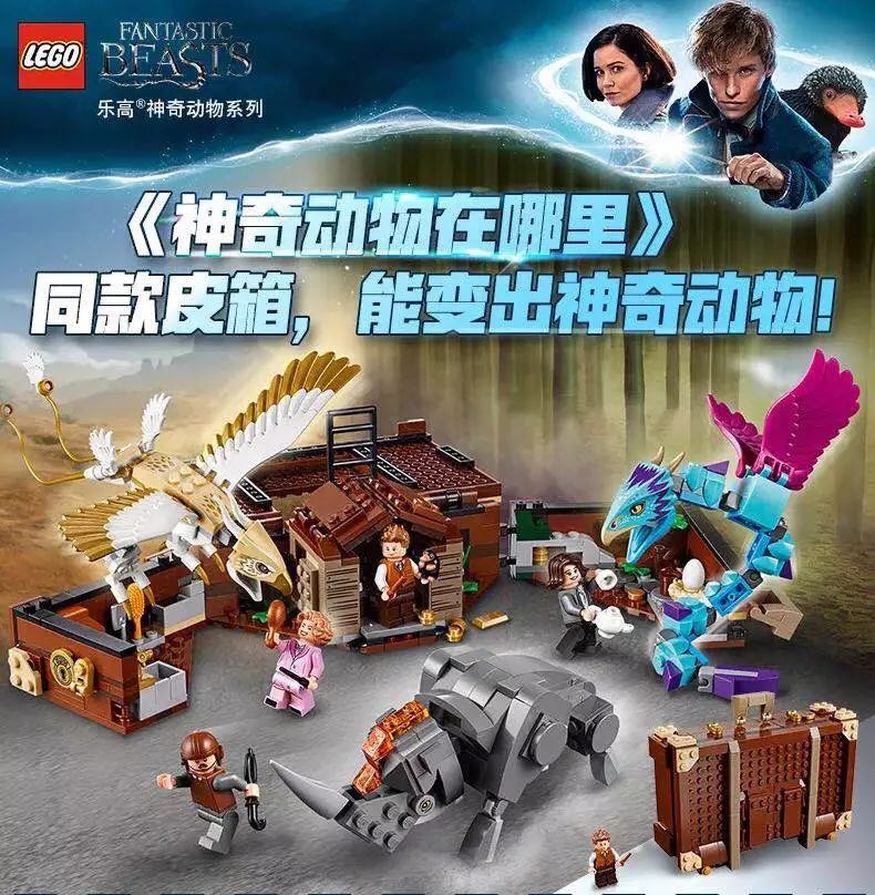 霍格沃茨之遗开局选女巫还是巫师,霍格沃茨四大学院混血巫师是什么