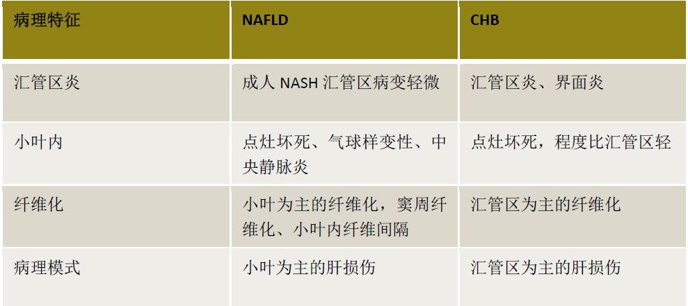 精华回顾｜肝胆精英荟：肝脏炎症性损伤的临床及病理鉴别诊断——杨永峰教授