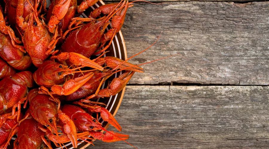 酵素真能抗癌吗,防癌抗癌最好的酵素是