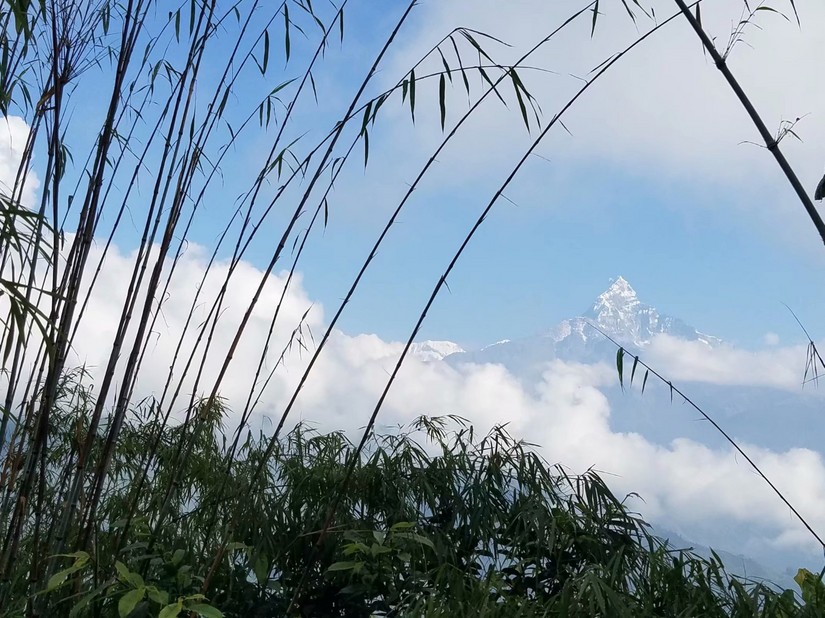 尼泊尔abc徒步要多少钱,尼泊尔abc徒步完整视频