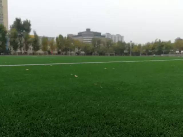 大连足球运动学校足球场地,大连体育新城足球场