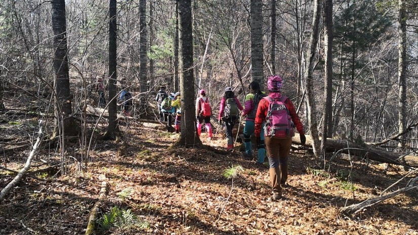 汪清直播外景,汪清户外直播