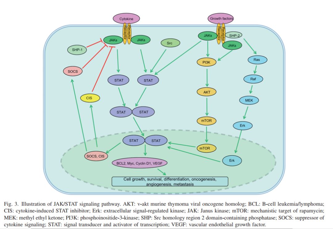 淋巴瘤基因检测靶向治疗,淋巴瘤靶向治疗一次多少钱